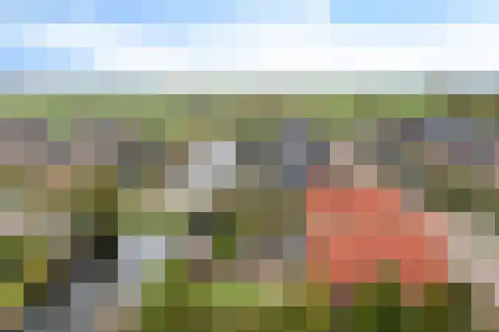 De Sylroede 4 Blauwhuis thumbnail 46