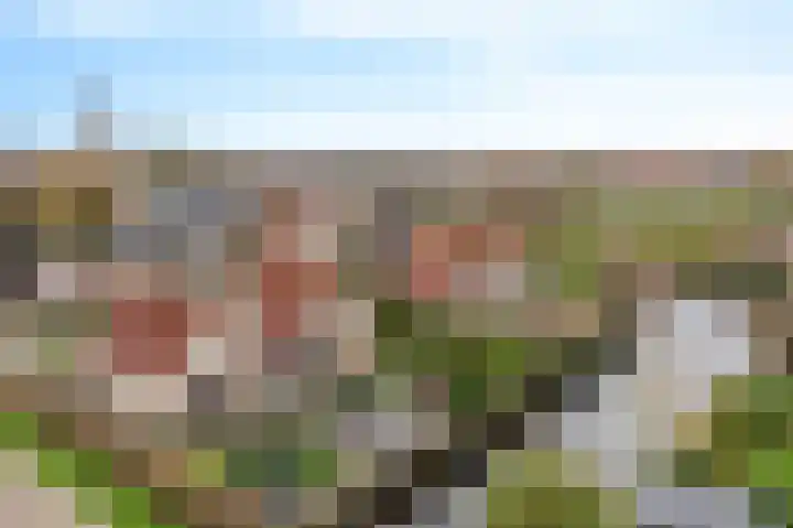 De Sylroede 4 Blauwhuis thumbnail 47