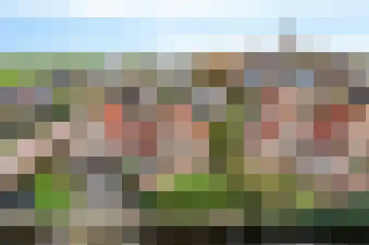 De Sylroede 4 Blauwhuis thumbnail 48