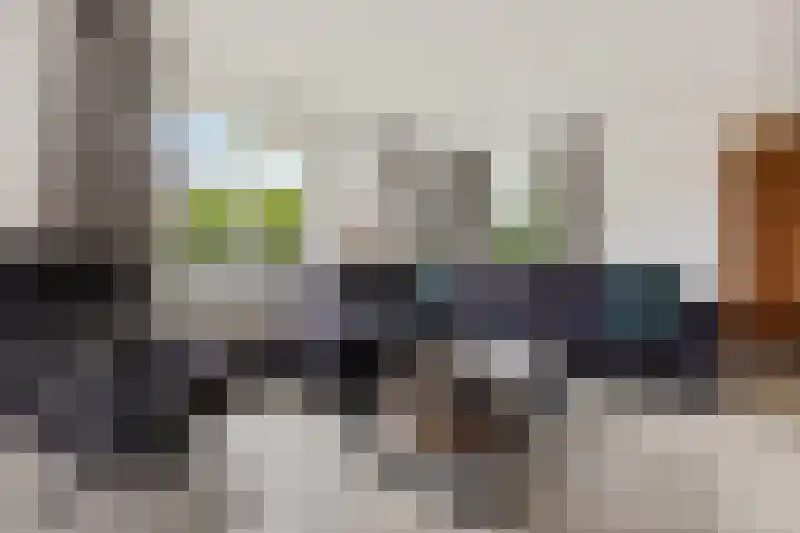 De Sylroede 4 Blauwhuis thumbnail 5