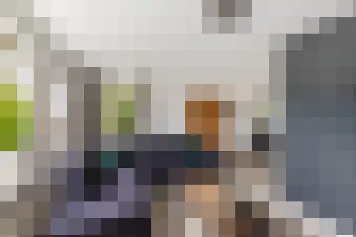 De Sylroede 4 Blauwhuis thumbnail 6