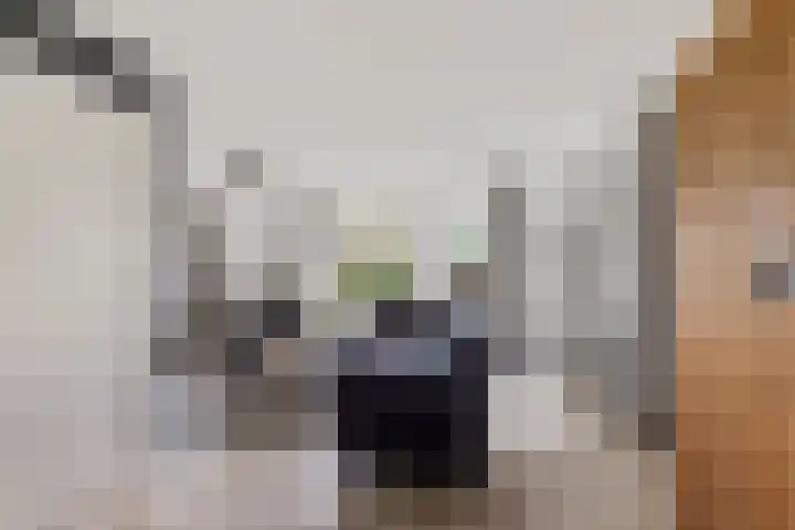De Sylroede 4 Blauwhuis thumbnail 7