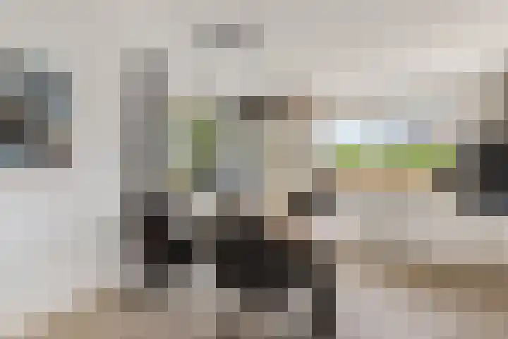 De Sylroede 4 Blauwhuis thumbnail 8