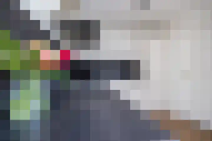 De Taats 14 Buitenpost thumbnail 13