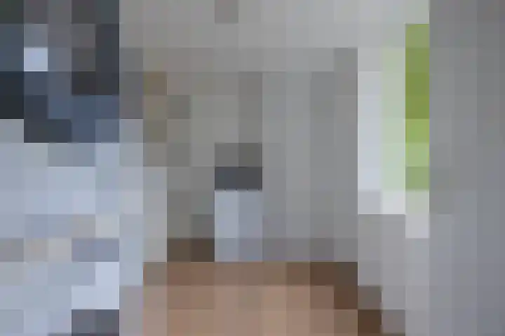 De Taats 14 Buitenpost thumbnail 17