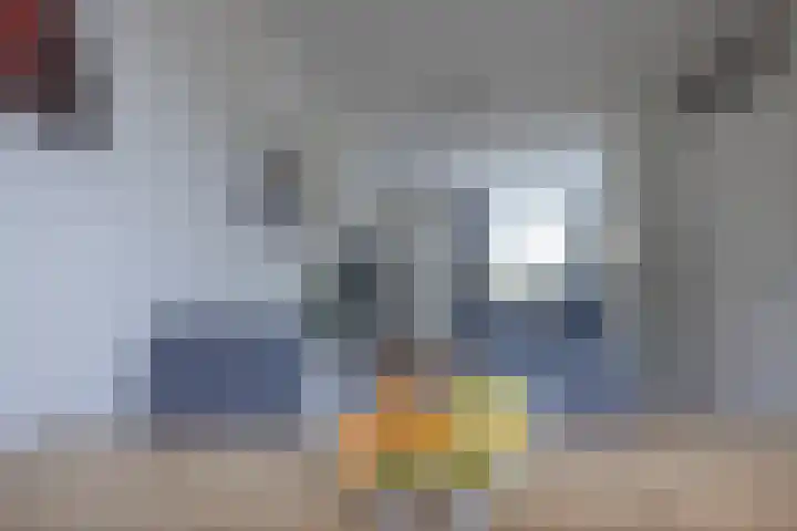 De Taats 14 Buitenpost thumbnail 19