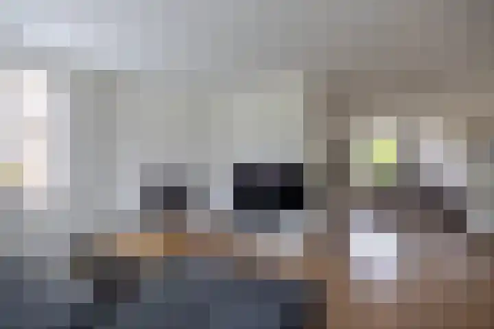 De Taats 14 Buitenpost foto 2