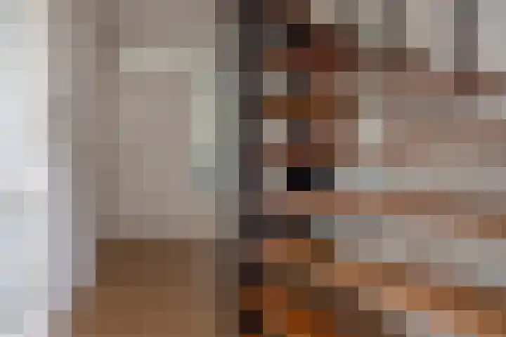 De Taats 14 Buitenpost thumbnail 21