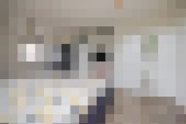 De Taats 14 Buitenpost thumbnail 25