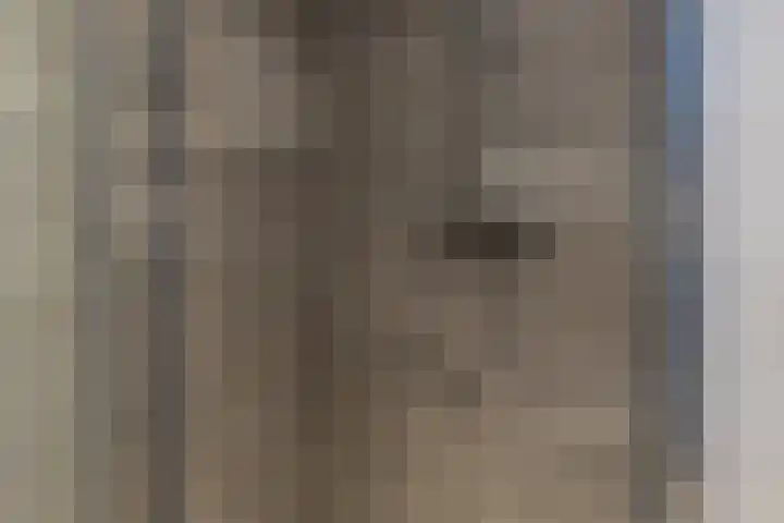 De Taats 14 Buitenpost thumbnail 33