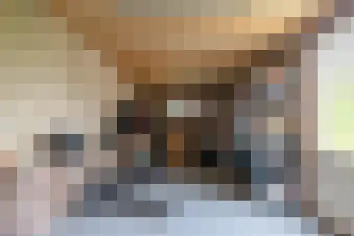 De Taats 14 Buitenpost thumbnail 35