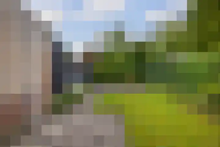 De Taats 14 Buitenpost thumbnail 37
