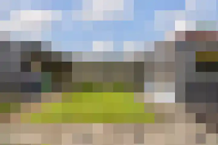 De Taats 14 Buitenpost thumbnail 38