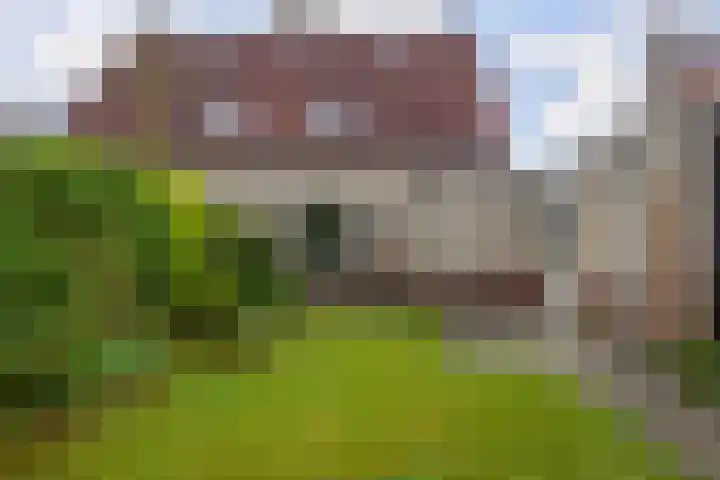 De Taats 14 Buitenpost thumbnail 39