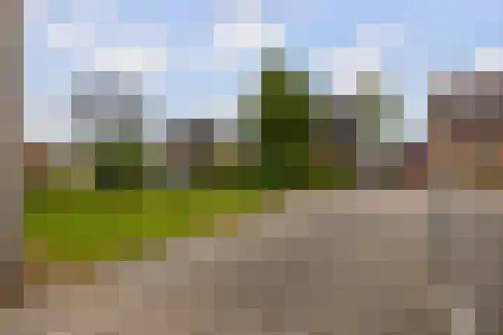 De Taats 14 Buitenpost thumbnail 4