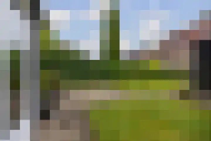 De Taats 14 Buitenpost thumbnail 40