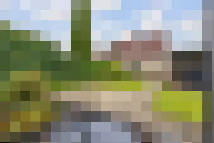 De Taats 14 Buitenpost thumbnail 41