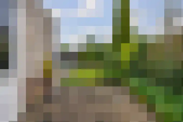 De Taats 14 Buitenpost thumbnail 42