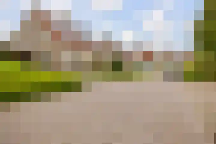 De Taats 14 Buitenpost thumbnail 43
