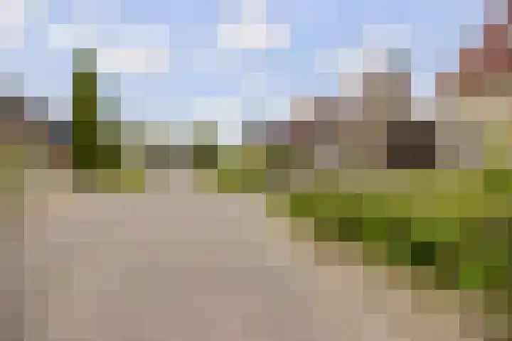 De Taats 14 Buitenpost thumbnail 44