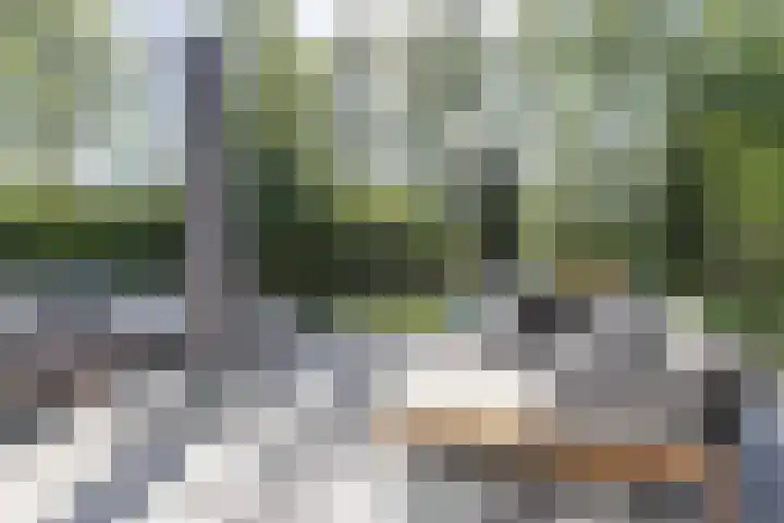 De Tabaksschuur 10 Amersfoort thumbnail 32