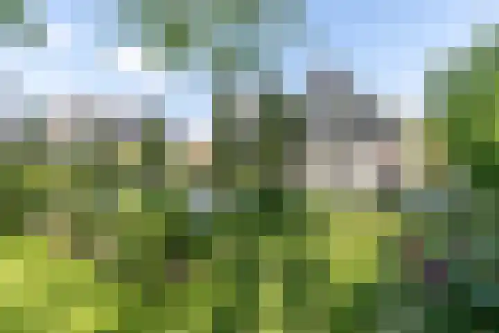 De Tabaksschuur 10 Amersfoort thumbnail 34