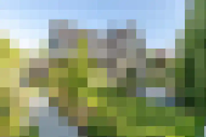 De Tabaksschuur 10 Amersfoort thumbnail 37