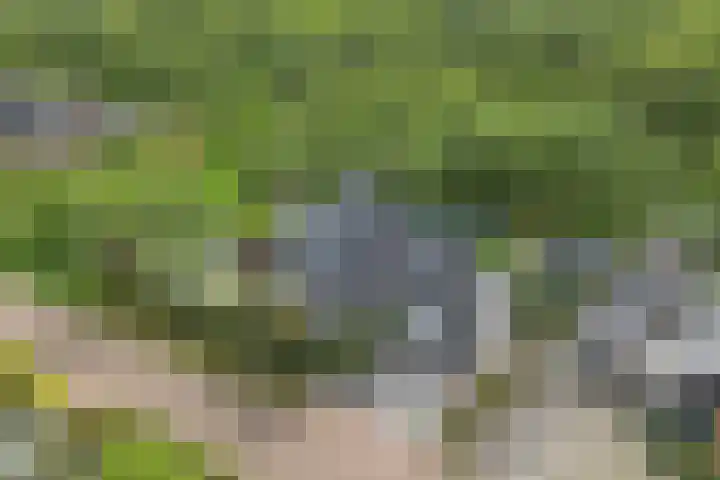 De Tabaksschuur 10 Amersfoort thumbnail 63