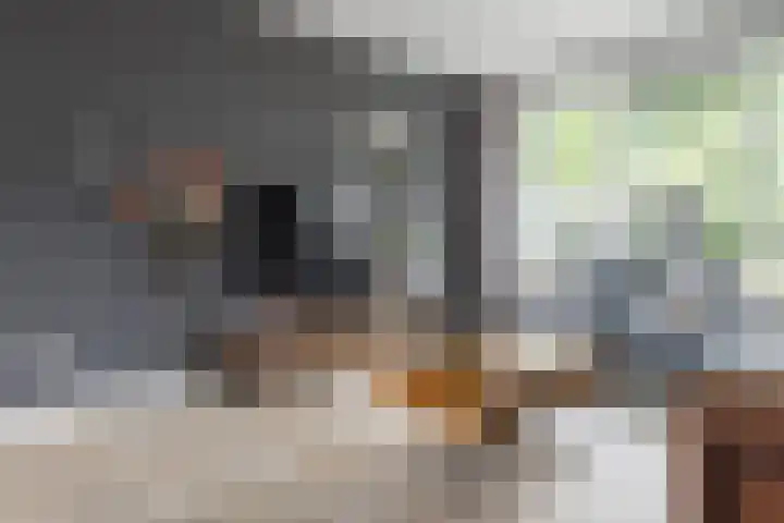 De Taling 1 Vriezenveen thumbnail 11