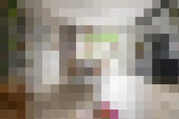 De Taling 1 Vriezenveen thumbnail 13