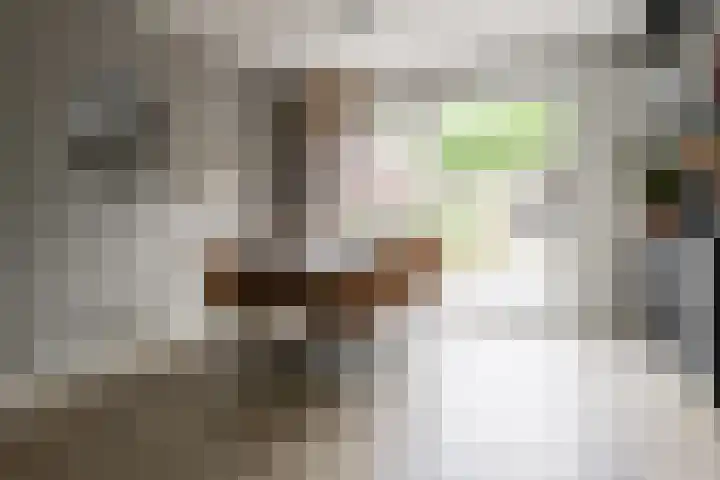 De Taling 1 Vriezenveen thumbnail 14