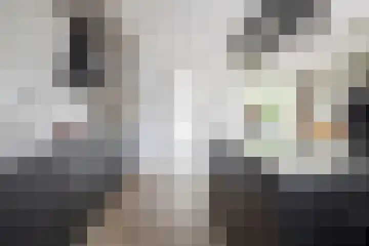 De Taling 1 Vriezenveen thumbnail 18