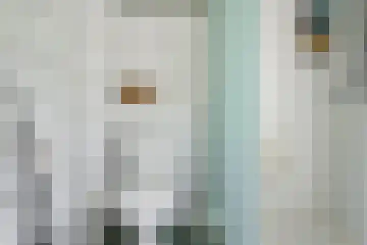 De Taling 1 Vriezenveen thumbnail 21