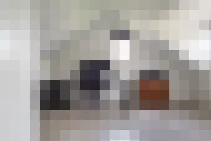 De Taling 1 Vriezenveen thumbnail 31
