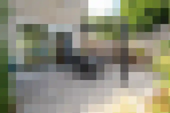 De Taling 1 Vriezenveen thumbnail 33