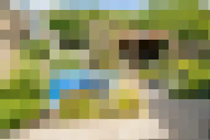 De Taling 1 Vriezenveen thumbnail 35