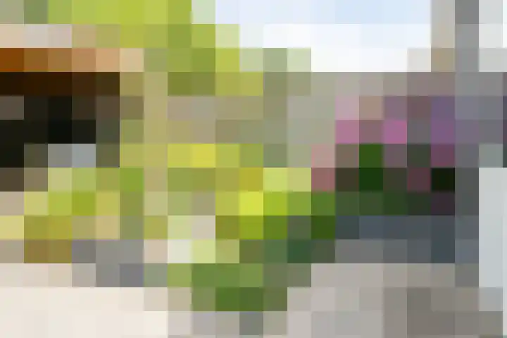 De Taling 1 Vriezenveen thumbnail 36