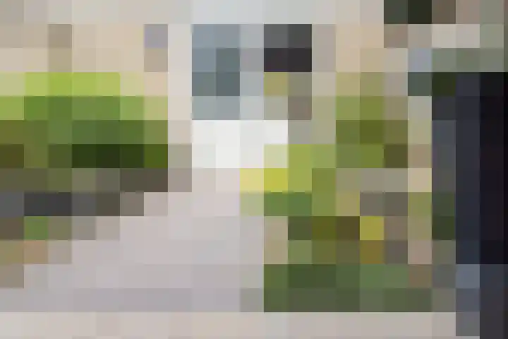 De Taling 1 Vriezenveen thumbnail 39