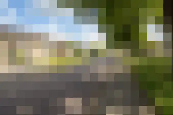 De Taling 1 Vriezenveen thumbnail 43