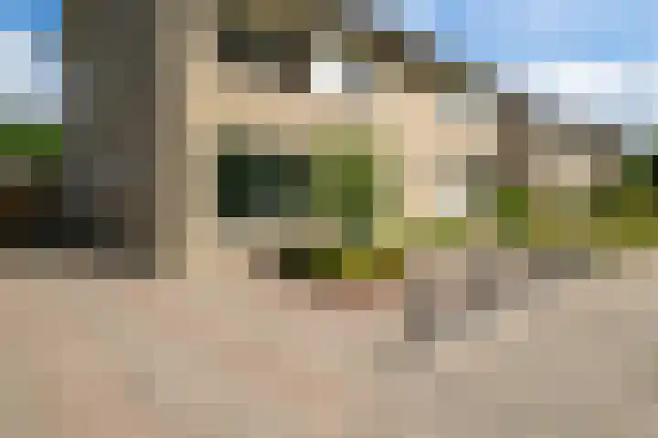 De Taling 1 Vriezenveen thumbnail 44