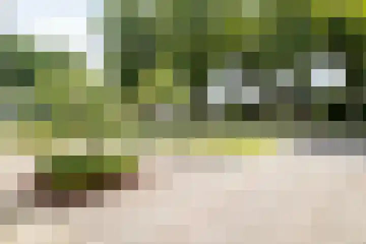 De Taling 1 Vriezenveen thumbnail 45