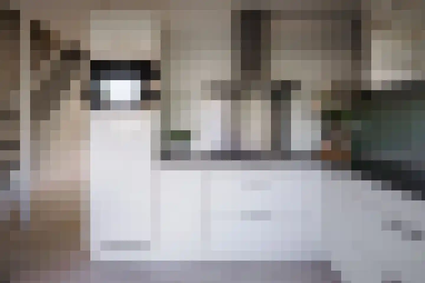 De Taling 13 Vriezenveen thumbnail 17