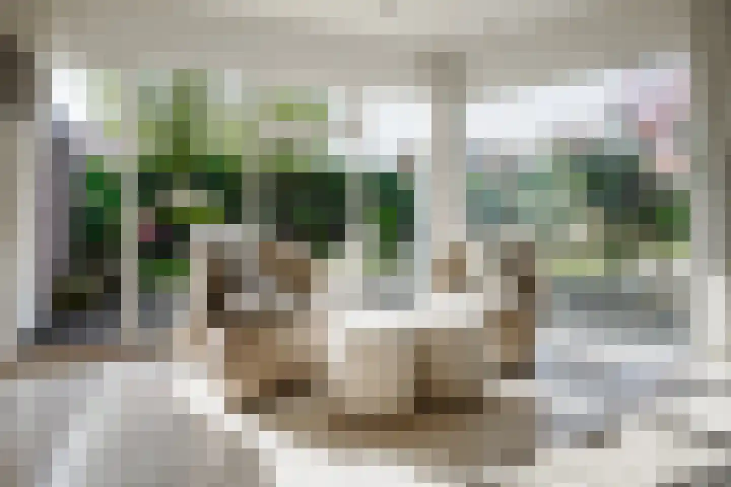 De Taling 13 Vriezenveen thumbnail 22