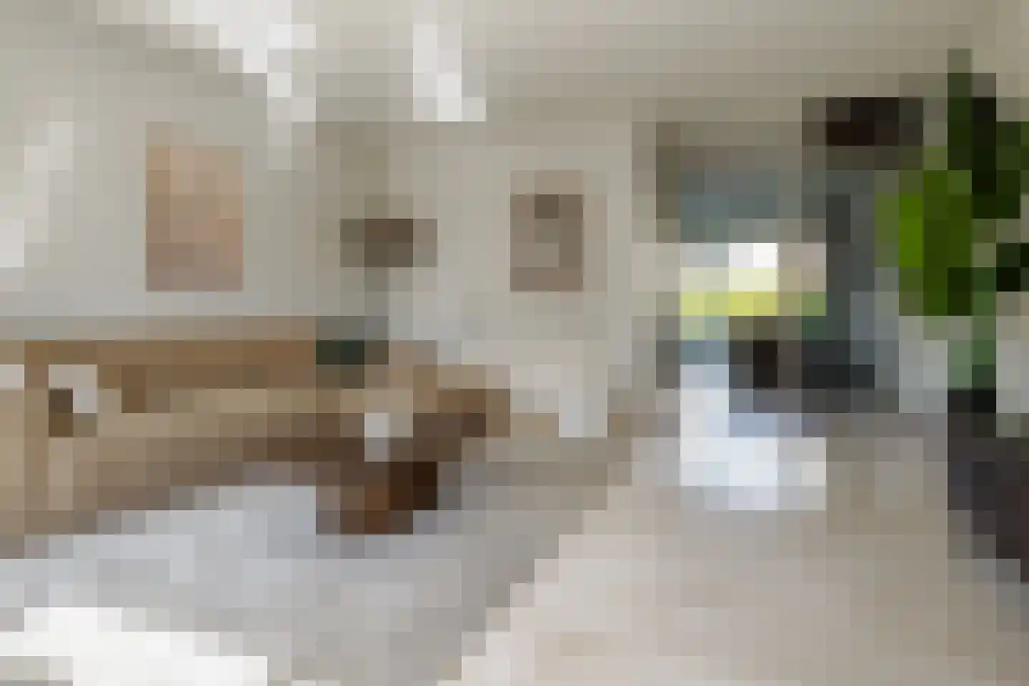 De Taling 13 Vriezenveen thumbnail 23