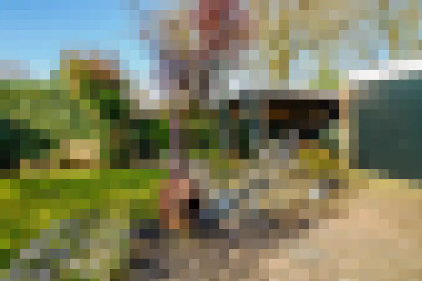 De Taling 13 Vriezenveen thumbnail 42