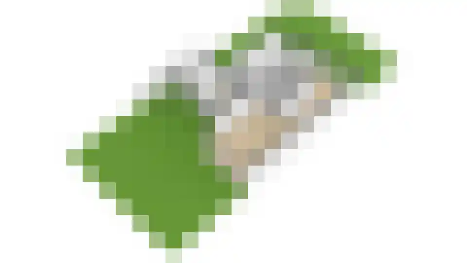 De Taling 13 Vriezenveen thumbnail 73