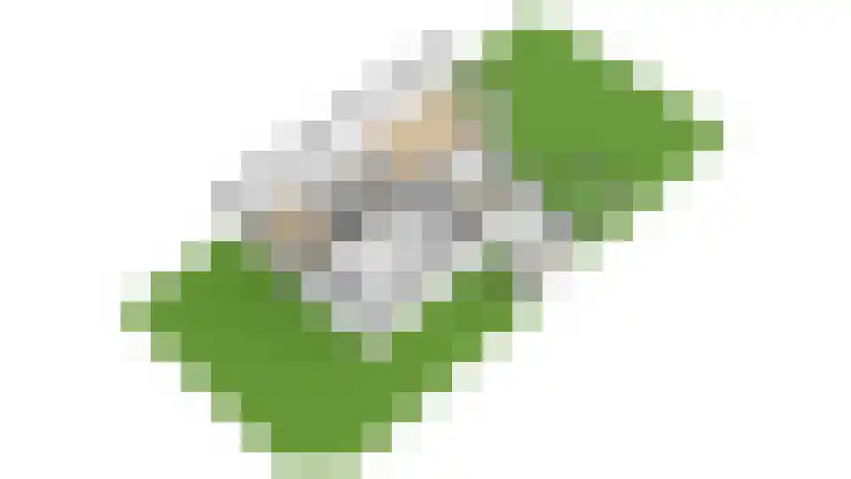 De Taling 13 Vriezenveen thumbnail 74