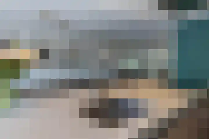 De Taling 21 Almelo thumbnail 10