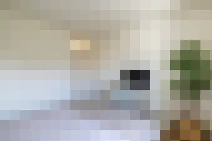 De Taling 21 Almelo thumbnail 15