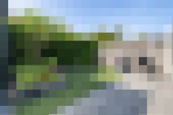 De Taling 21 Almelo thumbnail 26